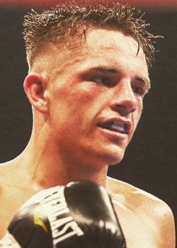 Boxer Image